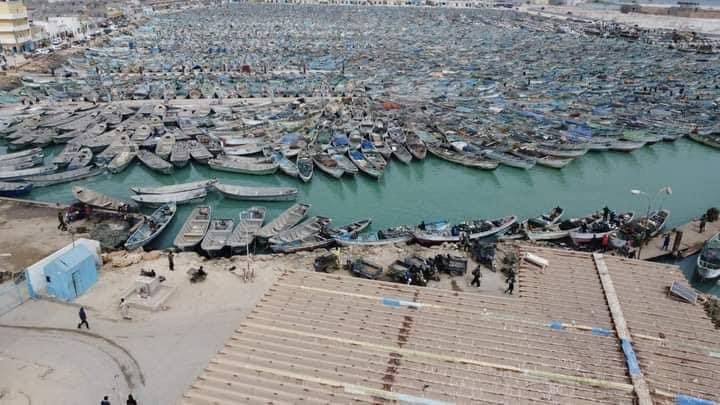 بدء سريان التوقيف البيولوجي الثاني لصيد الأخطبوط ورأسيات الأرجل في موريتانيا